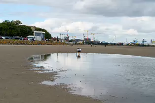 SANDYMOUNT STRAND AND PROMENADE [AUGUST 2024]-239841-1