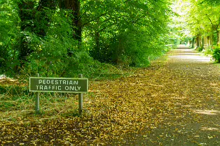 EXPLORING THE SOUTH CAMPUS [ST PATRICK'S COLLEGE MAYNOOTH UNIVERSITY]-237817-1