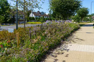 AN ATTRACTIVE COLLECTION OF MICRO GARDENS AND POCKET PARKS [ON LOWER KILMACUD ROAD]-239061-1