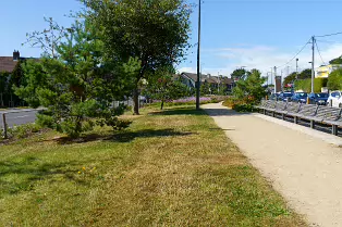 AN ATTRACTIVE COLLECTION OF MICRO GARDENS AND POCKET PARKS [ON LOWER KILMACUD ROAD]-239063-1