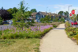 AN ATTRACTIVE COLLECTION OF MICRO GARDENS AND POCKET PARKS [ON LOWER KILMACUD ROAD]-239066-1