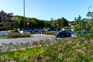 AN ATTRACTIVE COLLECTION OF MICRO GARDENS AND POCKET PARKS [ON LOWER KILMACUD ROAD]-239068-1