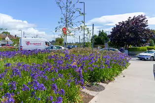 AN ATTRACTIVE COLLECTION OF MICRO GARDENS AND POCKET PARKS [ON LOWER KILMACUD ROAD]-239072-1