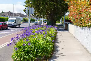 AN ATTRACTIVE COLLECTION OF MICRO GARDENS AND POCKET PARKS [ON LOWER KILMACUD ROAD]-239073-1