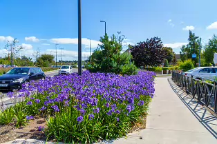 AN ATTRACTIVE COLLECTION OF MICRO GARDENS AND POCKET PARKS [ON LOWER KILMACUD ROAD]-239074-1