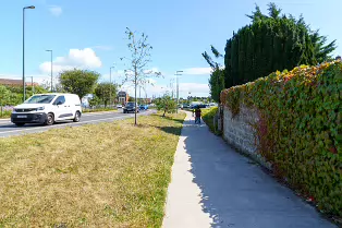AN ATTRACTIVE COLLECTION OF MICRO GARDENS AND POCKET PARKS [ON LOWER KILMACUD ROAD]-239076-1