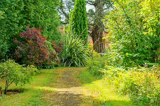 THE ROCK GARDEN WITHIN THE JUNIOR GARDEN [MAYNOOTH COLLEGE CAMPUS]-237737-1