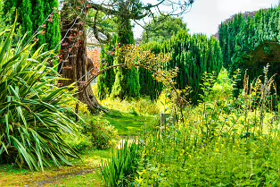 THE ROCK GARDEN WITHIN THE JUNIOR GARDEN [MAYNOOTH COLLEGE CAMPUS]-237738-1
