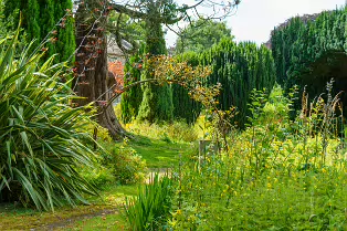 THE ROCK GARDEN WITHIN THE JUNIOR GARDEN [MAYNOOTH COLLEGE CAMPUS]-237739-1