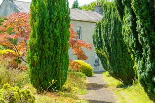 THE ROCK GARDEN WITHIN THE JUNIOR GARDEN [MAYNOOTH COLLEGE CAMPUS]-237741-1