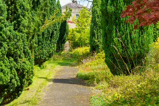 THE ROCK GARDEN WITHIN THE JUNIOR GARDEN [MAYNOOTH COLLEGE CAMPUS]-237743-1