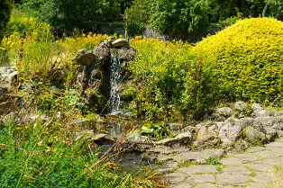 THE ROCK GARDEN WITHIN THE JUNIOR GARDEN [MAYNOOTH COLLEGE CAMPUS]-237744-1