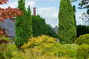 THE ROCK GARDEN WITHIN THE JUNIOR GARDEN [MAYNOOTH COLLEGE CAMPUS]-237746-1