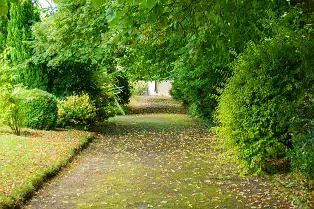 THE ROCK GARDEN WITHIN THE JUNIOR GARDEN [MAYNOOTH COLLEGE CAMPUS]-237747-1