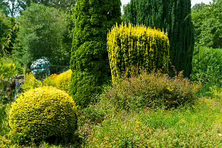 THE ROCK GARDEN WITHIN THE JUNIOR GARDEN [MAYNOOTH COLLEGE CAMPUS]-237748-1
