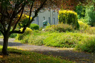 THE ROCK GARDEN WITHIN THE JUNIOR GARDEN [MAYNOOTH COLLEGE CAMPUS]-237750-1