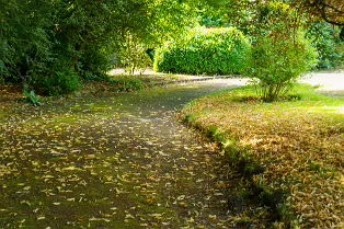 THE ROCK GARDEN WITHIN THE JUNIOR GARDEN [MAYNOOTH COLLEGE CAMPUS]-237752-1