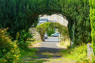 THE ROCK GARDEN WITHIN THE JUNIOR GARDEN [MAYNOOTH COLLEGE CAMPUS]-237753-1