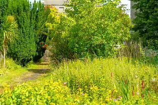 THE ROCK GARDEN WITHIN THE JUNIOR GARDEN [MAYNOOTH COLLEGE CAMPUS]-237754-1
