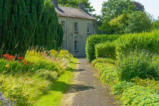 THE ROCK GARDEN WITHIN THE JUNIOR GARDEN [MAYNOOTH COLLEGE CAMPUS]-237755-1