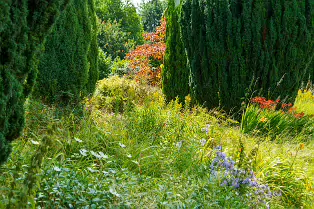 THE ROCK GARDEN WITHIN THE JUNIOR GARDEN [MAYNOOTH COLLEGE CAMPUS]-237756-1