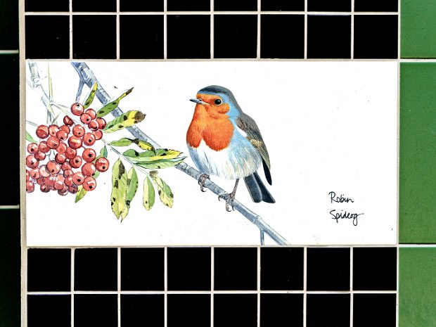 FEATURING IRISH BIRDS