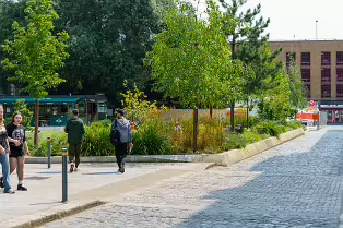 WOLFE TONE STREET [AS IT IS IN AUGUST 2024]-239299-1