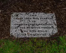 THE NEWBRIDGE SECTION OF THE LIFFEY LINEAR PARK INCLUDES A FAIRY WALK [14 AUGUST 2024]-238661-1