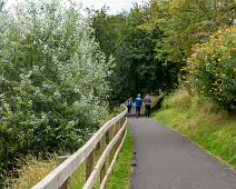 THE NEWBRIDGE SECTION OF THE LIFFEY LINEAR PARK INCLUDES A FAIRY WALK [14 AUGUST 2024]-238666-1