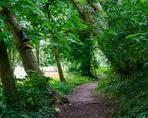 THE NEWBRIDGE SECTION OF THE LIFFEY LINEAR PARK INCLUDES A FAIRY WALK [14 AUGUST 2024]-238673-1