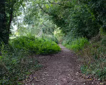 THE NEWBRIDGE SECTION OF THE LIFFEY LINEAR PARK INCLUDES A FAIRY WALK [14 AUGUST 2024]-238675-1