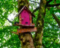 THE NEWBRIDGE SECTION OF THE LIFFEY LINEAR PARK INCLUDES A FAIRY WALK [14 AUGUST 2024]-238681-1