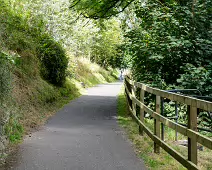 THE NEWBRIDGE SECTION OF THE LIFFEY LINEAR PARK INCLUDES A FAIRY WALK [14 AUGUST 2024]-238705-1