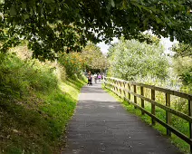 THE NEWBRIDGE SECTION OF THE LIFFEY LINEAR PARK INCLUDES A FAIRY WALK [14 AUGUST 2024]-238706-1