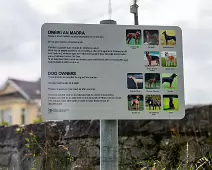 THE NEWBRIDGE SECTION OF THE LIFFEY LINEAR PARK INCLUDES A FAIRY WALK [14 AUGUST 2024]-238709-1