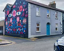 THE ONLY EXAMPLE OF STREET ART THAT I SAW [BY HOLLY PEREIRA - GEORGE'S LANE IN NEWBRIDGE]-238819-1