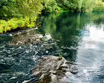 NEWBRIDGE AND THE RIVER LIFFEY [SHARE A DEEP ROOTED CONNECTION]-238518-1