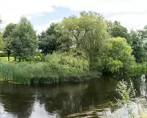 NEWBRIDGE AND THE RIVER LIFFEY [SHARE A DEEP ROOTED CONNECTION]-238521-1