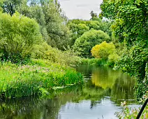 NEWBRIDGE AND THE RIVER LIFFEY [SHARE A DEEP ROOTED CONNECTION]-238527-1