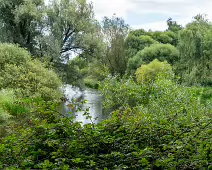 NEWBRIDGE AND THE RIVER LIFFEY [SHARE A DEEP ROOTED CONNECTION]-238528-1