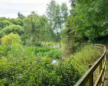 NEWBRIDGE AND THE RIVER LIFFEY [SHARE A DEEP ROOTED CONNECTION]-238529-1