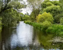 NEWBRIDGE AND THE RIVER LIFFEY [SHARE A DEEP ROOTED CONNECTION]-238530-1