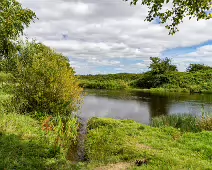 NEWBRIDGE AND THE RIVER LIFFEY [SHARE A DEEP ROOTED CONNECTION]-238531-1