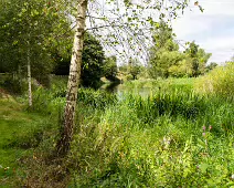 NEWBRIDGE AND THE RIVER LIFFEY [SHARE A DEEP ROOTED CONNECTION]-238534-1