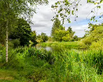 NEWBRIDGE AND THE RIVER LIFFEY [SHARE A DEEP ROOTED CONNECTION]-238535-1