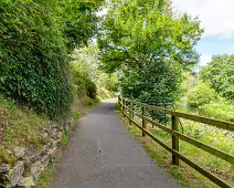 NEWBRIDGE AND THE RIVER LIFFEY [SHARE A DEEP ROOTED CONNECTION]-238539-1