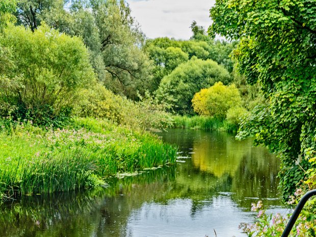 THE RIVER LIFFEY Newbridge and the River Liffey share a deep-rooted connection that has shaped the town's history, identity, and...