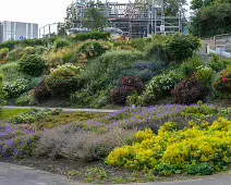 THE AREA NEAR THE OLD KIOSK SOON TO BE A TEAROOM [BLACKROCK PUBLIC PARK]-238264-1