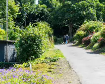 THE AREA NEAR THE OLD KIOSK SOON TO BE A TEAROOM [BLACKROCK PUBLIC PARK]-238267-1