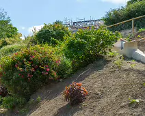 THE AREA NEAR THE OLD KIOSK SOON TO BE A TEAROOM [BLACKROCK PUBLIC PARK]-238269-1